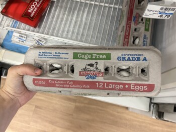 CVS, South Pompano Parkway, Pompano Beach, FL, USA photo #1