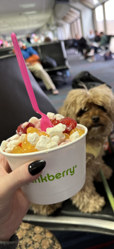 Pinkberry, DFW Airport Headquarters, Aviation Drive, Dallas, TX, USA صورة فوتوغرافية #1