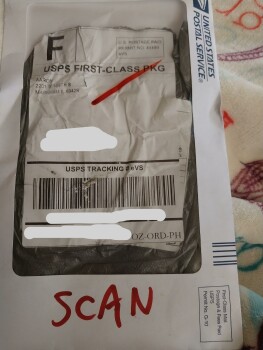 Aaron horse brush scam photo #1