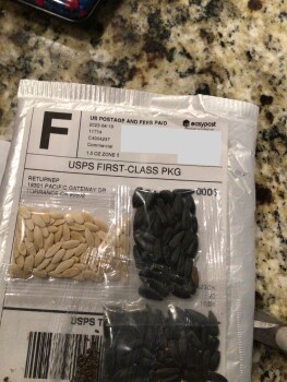 Did not order and don’t know what kind they are foto #1