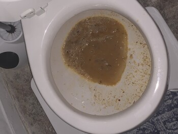 Avis du consommateur - Sécurité alimentaire Clay Oven Express, Edmonton Street, Winnipeg, MB, Canada Last night Buttered chicken Order Number: 5... photo #2