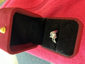I received a ring photo #1
