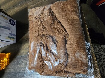 Scam Alert صورة فوتوغرافية #1