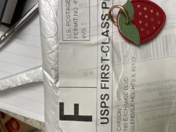 Scam from Carson photo #1