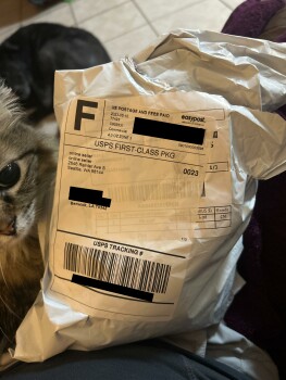 Scarf صورة فوتوغرافية #1