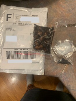 Received 3 pkg of seeds in plain unmarked bags. Oops 1 bag with semi-sprouting seeds and 3 smaller bags with tiny seeds. photo #1