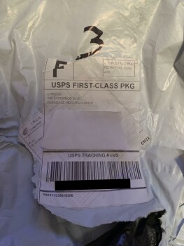 Scam Carson 照片 #1