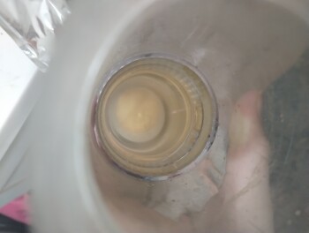 Walmart Bakery, U.S. 11, Evans Mills, NY, USA Foto #2