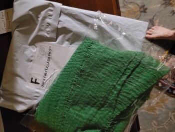 Received green scarf from Carson photo #1