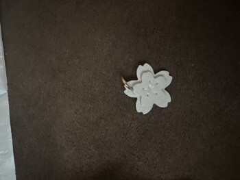 an item i didn’t order foto #1