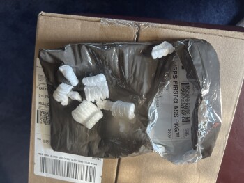 Informe de seguridad del consumidor Scam USPS first class rep old survey empty package came in mail foto #1