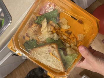 Wildflower, Agua Fria Freeway, Phoenix, AZ, USA photo #1