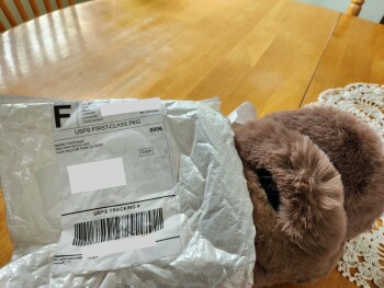 Stereo drip dog fencing photo #1