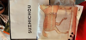 I received a horse scarf instead of the merchandise I  did order photo #1