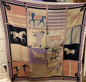 تقرير سلامة المستهلك Package I didn’t order I received a horse scarf from Allen Amador, 1775 Andover Park F, Tukwila, WA.... صورة فوتوغرافية #1