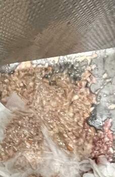 Verbraucherbewertung – Lebensmittelsicherheit KFC, Old National Highway, Atlanta, GA, USA At 5p I was in Drive Thru and I ordered a breast and a w... Foto #2