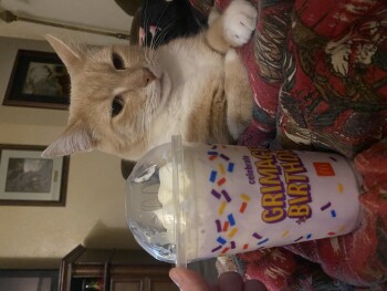 Grimace Shake, McDonald's, Northeast 23rd Street, Midwest City, OK, USA photo #1