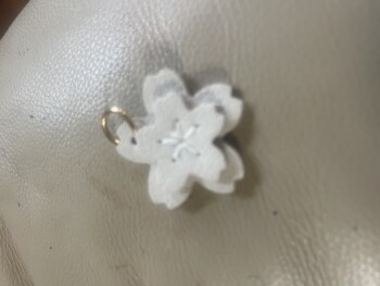 Consumer Safety Report Package came in mail nothing said but this trinket?  Don’t know if safe?  Or why sent? Just took mai... photo #1