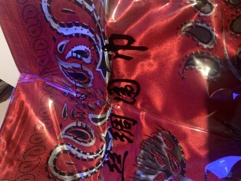 Relatório de segurança do consumidor Jane are sending me cheap things I know nothing about I too ordered something off Facebook never go... foto #3