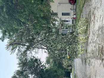 Can’t believe they are leaving this photo #1