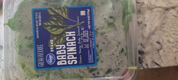 Fresh spinach, Kroger, Forest Lane, Dallas, TX, USA صورة فوتوغرافية #1