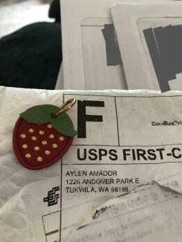 Scam from Aylen Amador photo #1