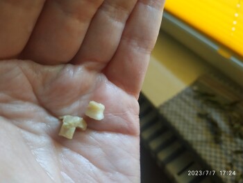 Consumer Review - Food Safety ALDI Nord, Wollweberstraße 5a, 17109 Demmin, Deutschland Moin, habe am 06.07.2023 in Aldi Nord einen... photo #3