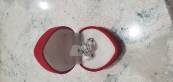 消费者安全报告 A ring from global geological research academy The package comes from global geological research Aca... 照片 #1