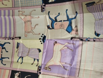 A package I didn't order foto #1