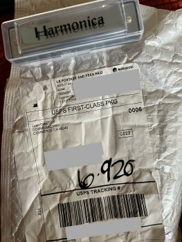 Harmonica instead of clothes! photo #1