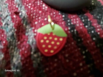 Received  plastic strawberry charm instead of a dog washing tub photo #1