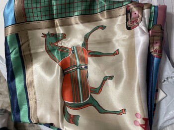 Verbrauchersicherheitsbericht A package that I received and did not order. I received a scarf from Emily Burrow. I did not order t... Foto #3