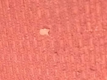 Meadowfresh Calci Strong Caramel Chaos, Countdown Blenheim, 51 Arthur Street, Blenheim Central, Blenheim 7201, New Zealand photo #1