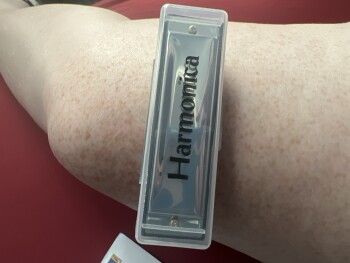 They scammed us out of two automated litter boxes and sent us a harmonica that we didn’t order. foto #1