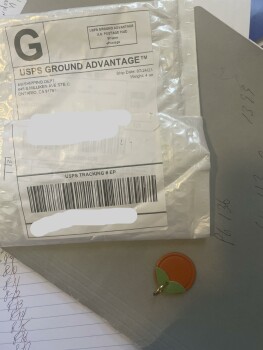 I received a small padded white envelope with a rubber key chain no keys. photo #1