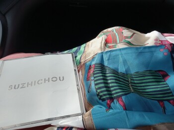 I received a scarf with horses on it that I didn't order. photo #1