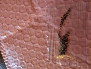 Unknown package صورة فوتوغرافية #1