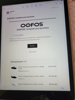 Informe de seguridad del consumidor Did not receive ooofos shoes I ordered July 14, 2023 Ordered Oofos shoes from two different sites on... foto #2