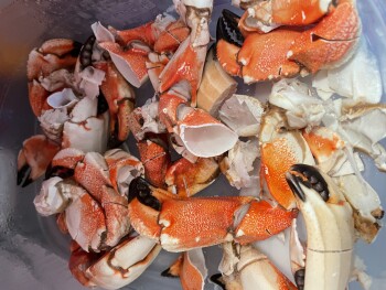 BJ's Wholesale Club, Northeast Pine Island Road, Cape Coral, FL, USA foto #1