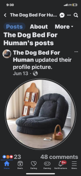 消费者安全报告 Have never received  my order I had ordered a dog bed for humans through.  this website on July  30t... 照片 #2