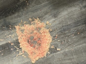 Houston, S Kirkwood Rd, Houston, TX, USA 照片 #1