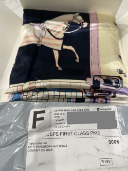 I didn’t order this scarf photo #1