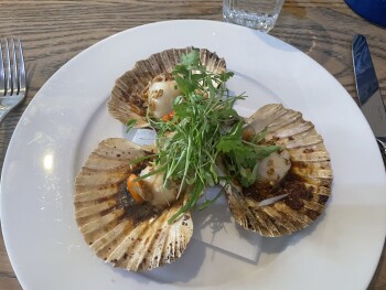 Rick Stein's Café, Middle Street, Padstow, UK photo #1